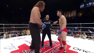 WHEN SIZE DOESN'T MATTER IN MMA   UNEXPECTED KNOCKOUTS