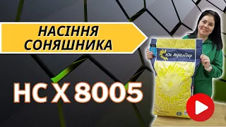 Насіння соняшника під гранстар, гібрид НС Х 8005 від компанії Юг Агролідер.