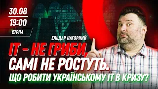 IT - не гриби, самі не ростуть. Що робити українському IT в кризу?