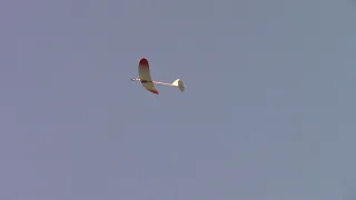 Electric Free Flight with Super Capacitor