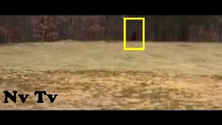 BigFoot 2017 - BEYOND BELIEF!! KIDS CAPTURE A REAL SCARY BIGFOOT!! - Massachusetts, USA (2012) - HD