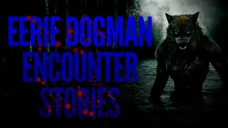 THEY EXIST | SCARY DOGMAN ENCOUNTER STORIES