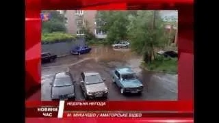 Буревій