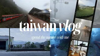 Taiwan Alishan 阿里山 Vlog 🇹🇼 — exploring Alishan Forest, Locomotive Train, Hill Top Airbnb