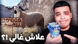 غلاء الأسعار يمكن أن يلغي عيد الأضحى 🐑 !؟