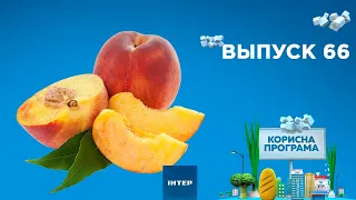 Как выбрать вкусные персики | «ПОЛЕЗНАЯ ПРОГРАММА». Выпуск 66 — 25.08.2020