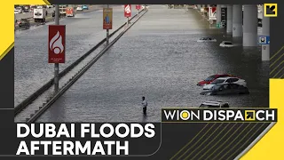 Dubai floods: UAE struggles to clean up post floods | WION Dispatch