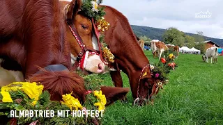 Der Almabtrieb mit Hoffest in Radstadt - ein Highlight im Salzburger Bauernherbst