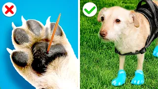GENIUS HACKS FOR SMART PET OWNERS || Cool Gadgets And Tips By GOTCHA! Hacks