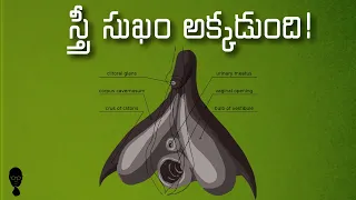 స్త్రీ సుఖం ఎక్కడుంది - Think Telugu Podcast
