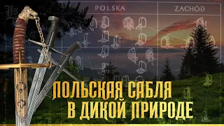 Польская сабля. Откуда она взялась и почему стала каноничной для этого региона? Вадим Сеничев