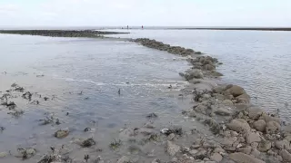 Lowest tide in 200 years