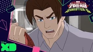 Ultimate Spider-Man Vs. The Sinister Six | Doctor Octopus' Home Visit | Official Disney XD UK