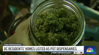 More DC Residents Say Their Addresses Show Up as Weed Dispensaries on Google | NBC4 Washington