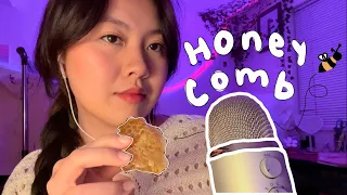 ASMR Honey Comb 🍯🐝