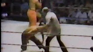 CWF Florida TV 1982 83