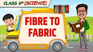 Fibre to Fabric || Full Chapter in 1 Video || Class 6th Science || Champs Batch