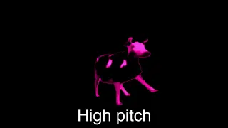 10 Polish Cow Sound Variations in 80 seconds