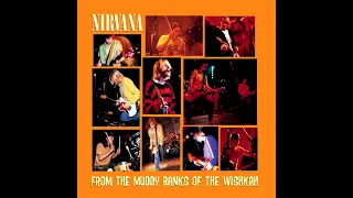 Nirvana - From The Muddy Banks Of The Whiskah (Full Album)