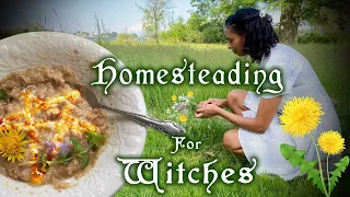 Magickal Homesteading 🏡My Journey As A Hedge & Hearth Witch 🪴 Witchy Housekeeping & Green Witchcraft