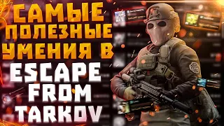 ESCAPE FROM TARKOV | ЭЛИТНЫЕ УМЕНИЯ И КАК ИХ ВЫКАЧИВАТЬ