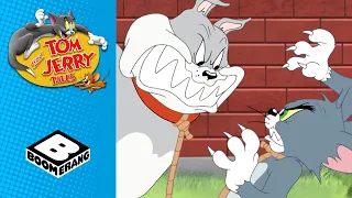 Tom & Jerry | Trust Each Other | Boomerang UK