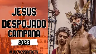 Jesús Despojado en Campana 2023 - Virgen de los Reyes - Domingo de Ramos Sevilla