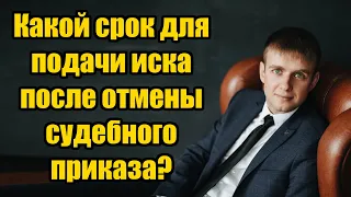 Срок подачи иска после отмены судебного приказа в 2024 году. Юрист по кредитам Барнаул