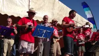 Southampton Ukulele Jam - Pricetag