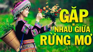 GẶP NHAU GIỮA RỪNG MƠ REMIX Mới Ra Lò 2021 - Nhạc Đỏ Cách Mạng Tây Bắc Dj Remix Vang Tận 5 Châu