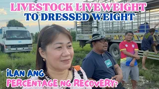 LIVESTOCK LIVEWEIGHT TO DRESSED WEIGHT: ILAN ANG PERCENTAGE NG RECOVERY? | SOLLE'S G 🌸