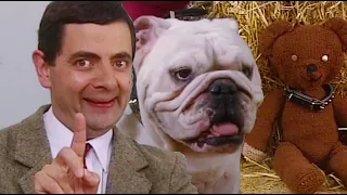 Dog Show | Funny Clips | Mr Bean Official