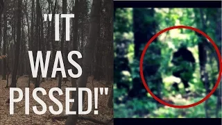 6 Terrifying  Encounters With Sasquatch/Bigfoot!  "They Really Exist!"