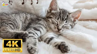 Relaxing Lullaby for Cat and Kitten • Calming Music for Cats with Anxiety! #1