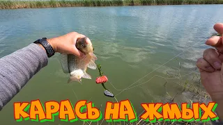 Карась НА ЖМЫХ Ловля на донки р Маныч