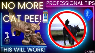 Unleash the Secrets: Stop Cat Peeing in One Area or Spraying for Good! #cat #catspraying #cats