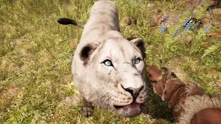 All tamable animals in far cry primal