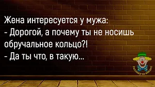 🤡Утром Муж Говорит Жене...Большой Сборник Смешных Анекдотов,Для Супер Настроения!