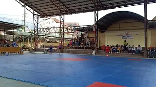 Rhythmic Gymnastics Elementary Ball Routine : Philippines Gymnast