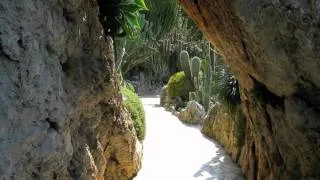 Film Botanischer Garten Monaco.mov