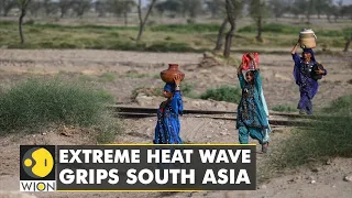 No respite for India's Northern belt as temperatures rise | WION Climate Tracker