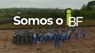 Conheça a história do IBF | Há mais de 20 anos plantando árvores