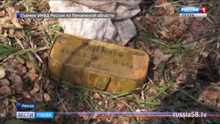 В пензенском лесу обнаружен крупный схрон оружия