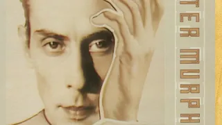 Peter Murphy - All Night Long 💙 (Lyrics:)