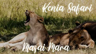 Maasai Mara - a short overview