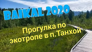 Прогулка по экологической тропе в Байкальском заповеднике, Танхой