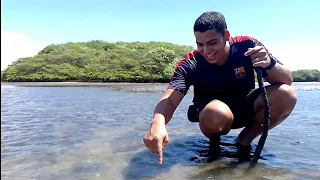 DOMINGÃO: AVENTURA NO RIO PACOTI, TEVE COZIDO DE SIRI!