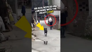 You Won't Believe What This Dog Did Next!😳 #shorts