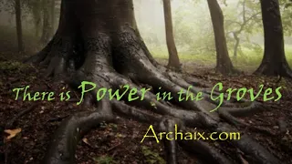 There is Power in the Groves