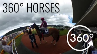 360° Virtual Reality Horse Racing